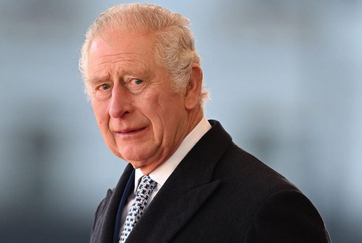 The possibility of King Charles stepping down sparks debate among royal historians and pundits.